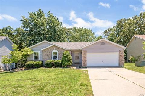 306 Birmingham Dr, O'fallon, MO 63366 photo 1