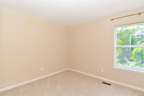110 Lucerne Crossing Ct, Ballwin, MO 63011 photo 20