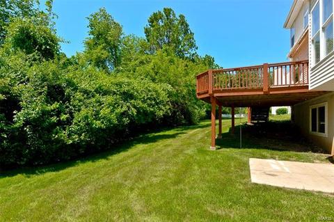 110 Lucerne Crossing Ct, Ballwin, MO 63011 photo 45