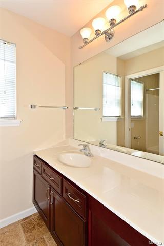 110 Lucerne Crossing Ct, Ballwin, MO 63011 photo 24