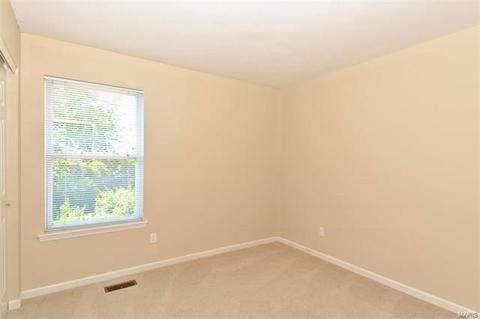 110 Lucerne Crossing Ct, Ballwin, MO 63011 photo 22