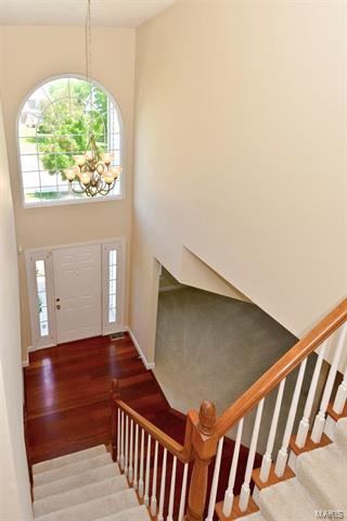 110 Lucerne Crossing Ct, Ballwin, MO 63011 photo 17