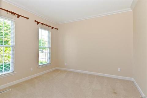 110 Lucerne Crossing Ct, Ballwin, MO 63011 photo 4