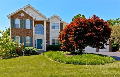 110 Lucerne Crossing Ct, Ballwin, MO 63011 photo 1