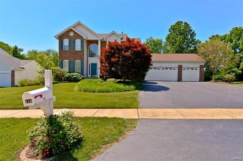 110 Lucerne Crossing Ct, Ballwin, MO 63011 photo 46