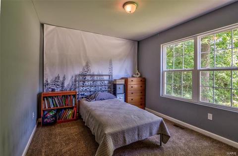 505 Lake Dr, O'fallon, MO 63366 photo 6