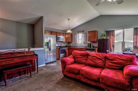 505 Lake Dr, O'fallon, MO 63366 photo 15