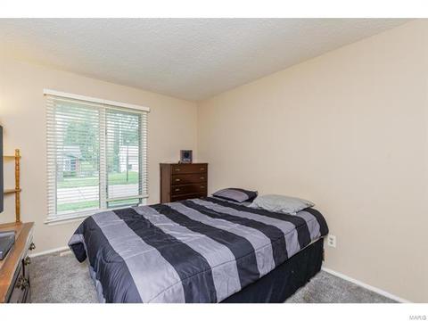 1429 Mautenne Dr, Manchester, MO 63021 photo 24
