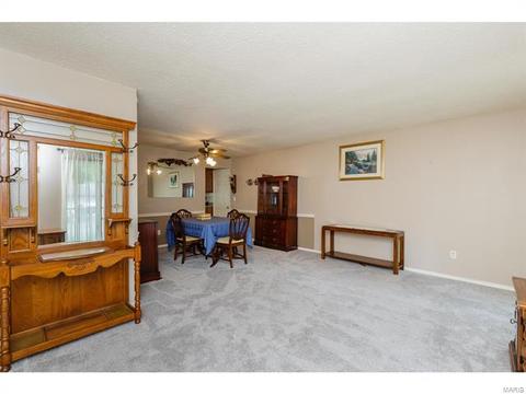 1429 Mautenne Dr, Manchester, MO 63021 photo 6
