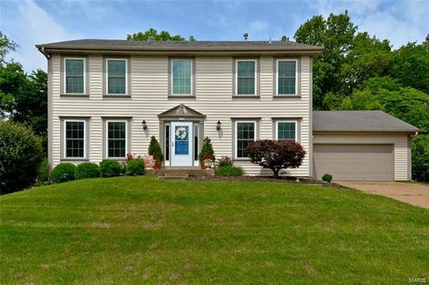 1710 Connemara Dr, Manchester, MO 63021 photo 1