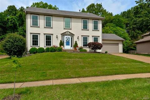 1710 Connemara Dr, Manchester, MO 63021 photo 57