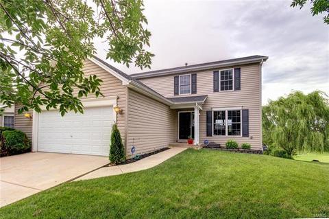 63 E Homefield Point Ct, O'fallon, MO 63366 photo 5