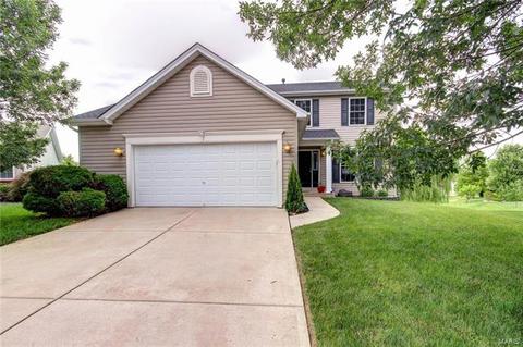 63 E Homefield Point Ct, O'fallon, MO 63366 photo 3