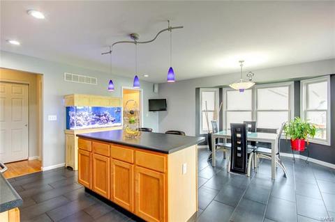 63 E Homefield Point Ct, O'fallon, MO 63366 photo 13