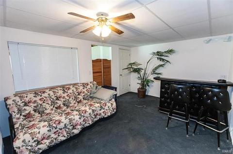 109 Grey Wolf Dr, O'fallon, MO 63366 photo 31