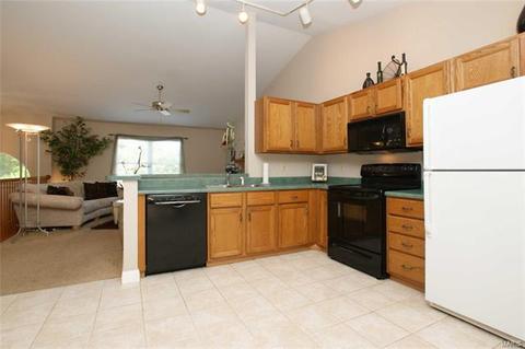 511 Elm Crossing Ct, Ballwin, MO 63021 photo 9