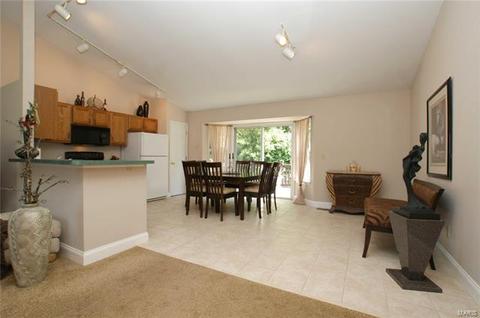 511 Elm Crossing Ct, Ballwin, MO 63021 photo 7