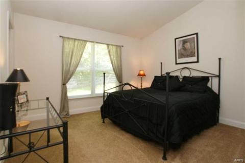 511 Elm Crossing Ct, Ballwin, MO 63021 photo 12