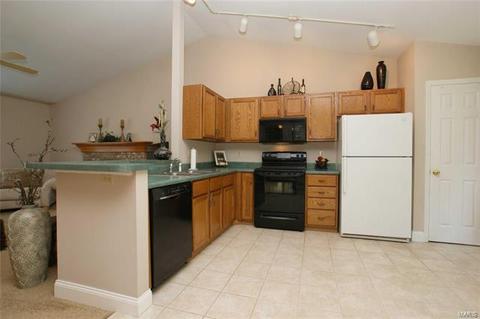 511 Elm Crossing Ct, Ballwin, MO 63021 photo 10