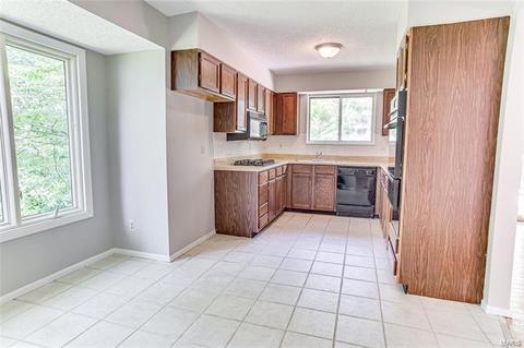 832 Dunraven Dr, Ballwin, MO 63021 photo 14