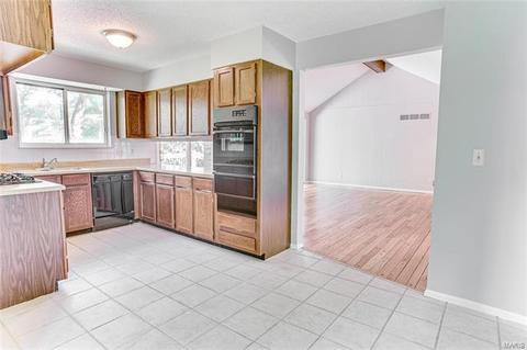 832 Dunraven Dr, Ballwin, MO 63021 photo 15