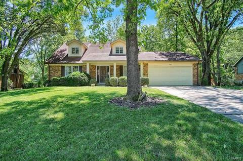 250 Oak Pass Ct, Ballwin, MO 63011 photo 1