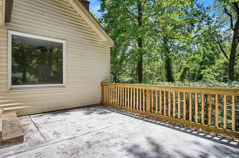 250 Oak Pass Ct, Ballwin, MO 63011 photo 23