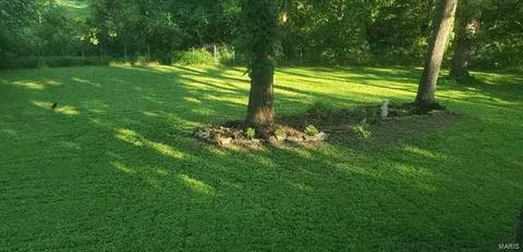250 Oak Pass Ct, Ballwin, MO 63011 photo 25