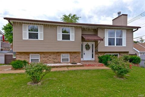 5001 Weber Rd, Saint Louis, MO 63123 photo 2