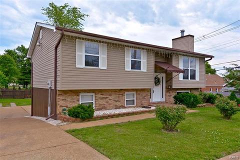 5001 Weber Rd, Saint Louis, MO 63123 photo 1