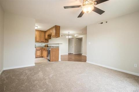 7201 Spring Crk, O'fallon, MO 63368 photo 7