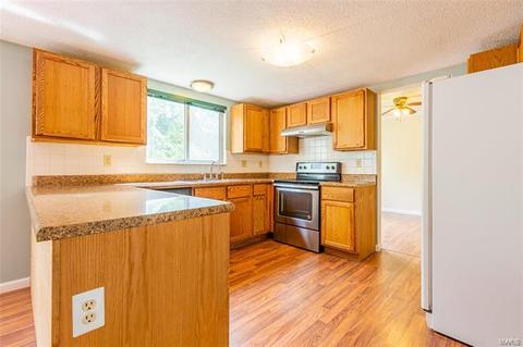 446 Elm Xing, Ballwin, MO 63021 photo 13