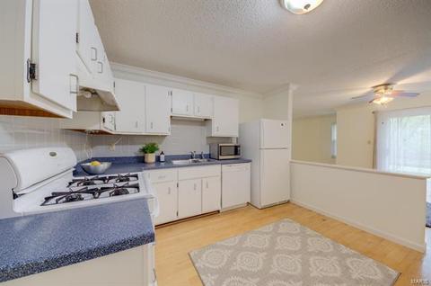 1420 Tahoe Vly, Ballwin, MO 63021 photo 7