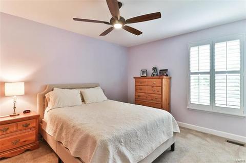 254 Dickens Farm Ln, Ballwin, MO 63021 photo 40