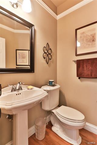 254 Dickens Farm Ln, Ballwin, MO 63021 photo 21