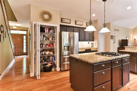 254 Dickens Farm Ln, Ballwin, MO 63021 photo 25