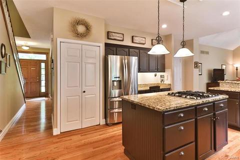 254 Dickens Farm Ln, Ballwin, MO 63021 photo 24