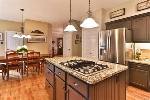 254 Dickens Farm Ln, Ballwin, MO 63021 photo 27