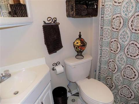 946 Brookvale Ter, Ballwin, MO 63021 photo 29