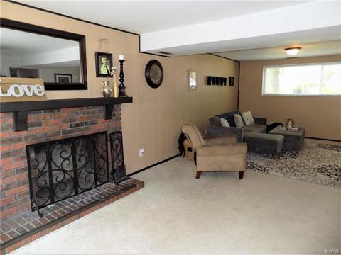 946 Brookvale Ter, Ballwin, MO 63021 photo 17