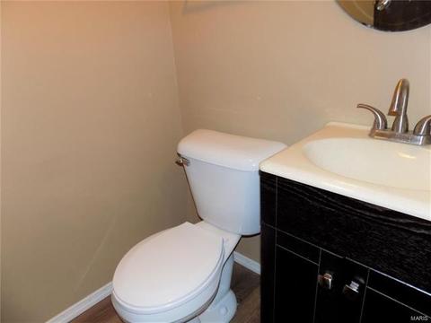 946 Brookvale Ter, Ballwin, MO 63021 photo 20