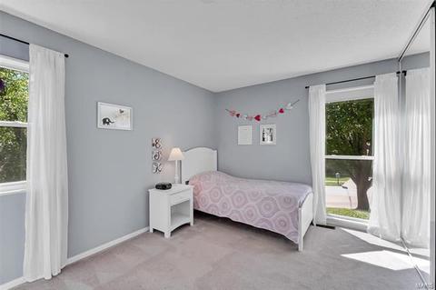 1465 Sandpointe Ct, Manchester, MO 63021 photo 22