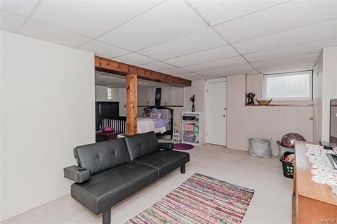 5213 Gresham Ave, Saint Louis, MO 63109 photo 22