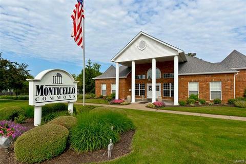 15 Dunmore Cir, O'fallon, MO 63368 photo 35