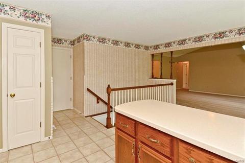 15 Dunmore Cir, O'fallon, MO 63368 photo 10