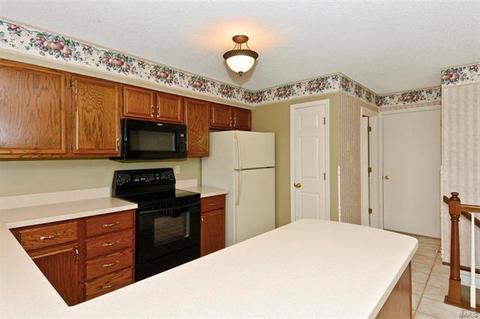 15 Dunmore Cir, O'fallon, MO 63368 photo 9