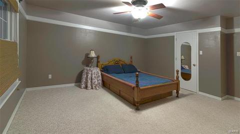 2 Carriage Creek Ct, Ballwin, MO 63021 photo 23