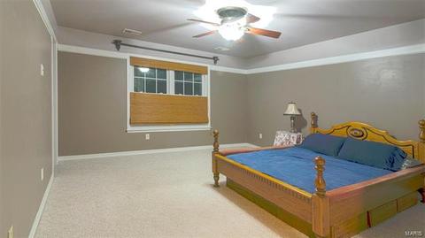 2 Carriage Creek Ct, Ballwin, MO 63021 photo 22