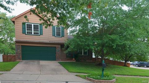 2 Carriage Creek Ct, Ballwin, MO 63021 photo 2