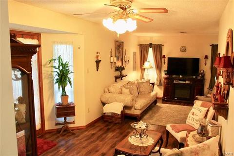 911 Parkway, Ballwin, MO 63011 photo 23